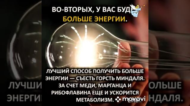 МИНДАЛЬ, польза орешков. смотреть онлайн