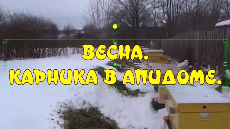 ВЕСЕННИЕ РАБОТЫ НА ПАСЕКЕ. КАРНИКА В АПИДОМЕ.(SPRING WORK IN THE APIARY.) смотреть онлайн