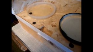 Как сделать и повесить кормушку для птиц на пластиковые окна