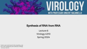 Virology Lectures 2024 #6_ Synthesis of RNA from RNA