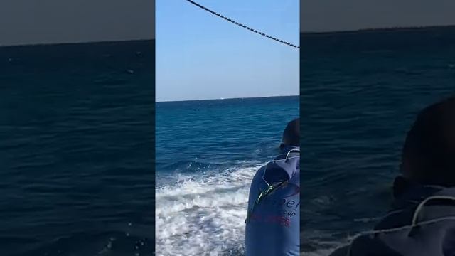 Banana boat disappearing act