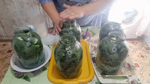 #СОЛЕНЫЕ #ОГУРЦЫ В #ХРЕНОВЫХ #ЛИСТЬЯХ?? ЭТО НЕ #ОГУРЦЫ А ПРОСТО #БОМБА !!! #ЗАГОТОВКИ НА #ЗИМУ ?