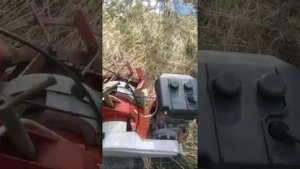 отчёт о мотоблоке салют с итальянским двигателем