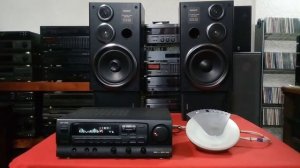 Sony SS D33 Video 04 Of 04
