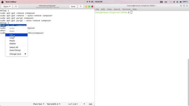 completely remove composer from ubuntu смотреть онлайн
