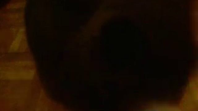 Кормим больного и голодного котёнка с ложечки - feeding a kitten with a spoon смотреть онлайн