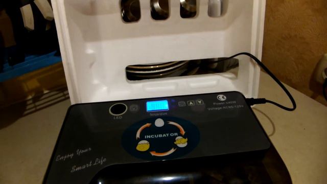 Выведение перепелов в китайском инкубаторе смотреть онлайн