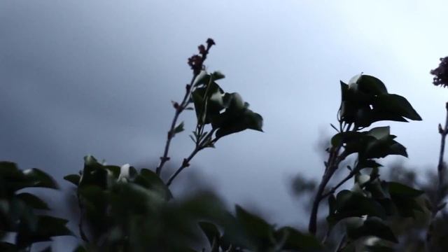 Triple Kill - Силуэт смотреть онлайн