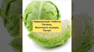 Чем Полезна Белокочанная Капуста?
