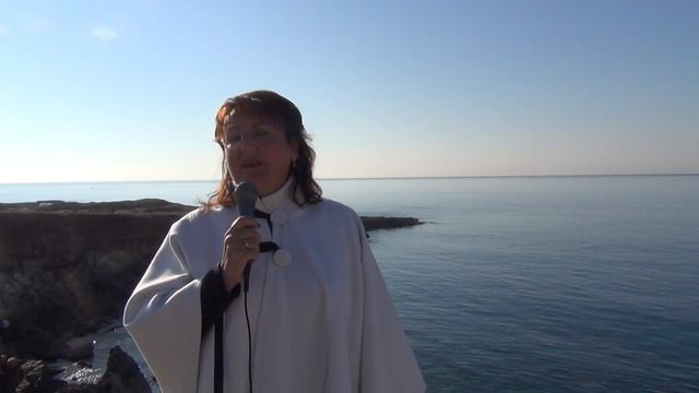 О сказках Русалочка и Аленький цветочек смотреть онлайн