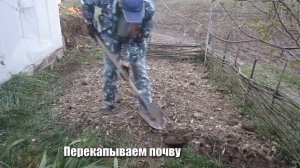 Обработка почвы осенью / Подготовка земли к следующему сезону