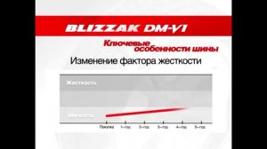 Зимние нешипованные шины липучка Bridgestone Blizzak DM V1 Отзывы владельцев
