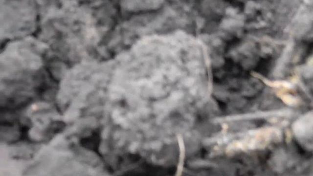 Поиск клада с металлоискателем ! Часть 5 смотреть онлайн