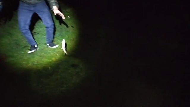 ловля речного Усача на Тереке 08.05.2022. попытка номер 2 смотреть онлайн