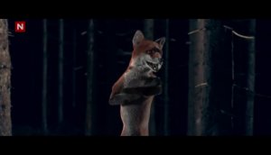 Как говорит лисичка. Прикол! (Ylvis - The Fox (What Does the Fox Say?)