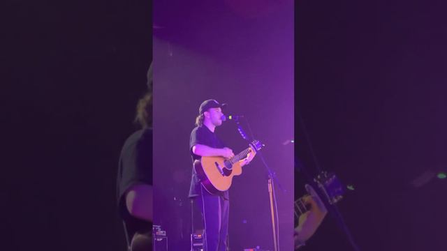 Lavender tom millichamp смотреть онлайн