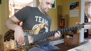 Shocking Blue - Venus, bass cover