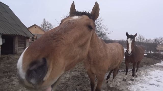 ЭТОТ МИНИТРАКТОР ВЫРУЧАЕТ В ДЕРЕВНЕ КАК НИ КОГДА. ЗАРАБОТОК В ДЕРЕВНЕ. МТ 110 . ЖИЗНЬ В ДЕРЕВНЕ смотреть онлайн