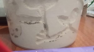 Моя самая большая колония муравьёв вида tetramorium caespitum