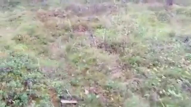 Чудское озеро.Красивые места в Эстонии.Прибалтика.Влог