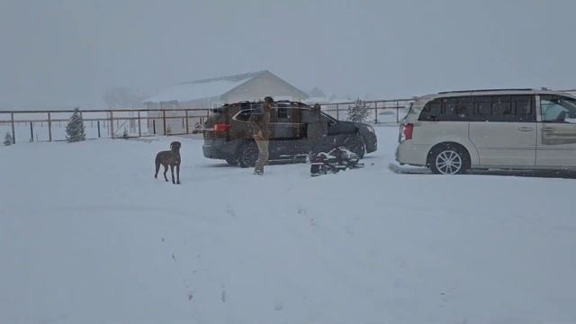 Частный детский сад. Завалило снегом. смотреть онлайн
