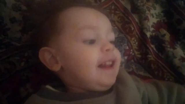 Укусила собака. смотреть онлайн