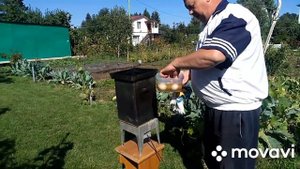 Куриные Яйца Горячего Копчения/Как Коптить Яйца/Фаршированные Яйца с Начинкой из Рыбы и Сыра/SUB(0+