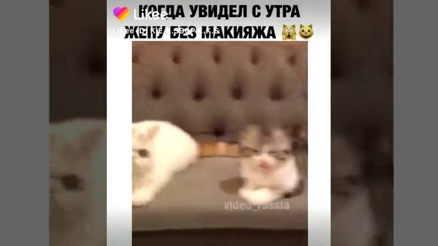 Когда увидел с утра жену без макияжа