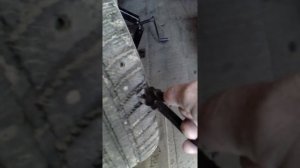 Удаляем шипы с зимней резины автомобиля