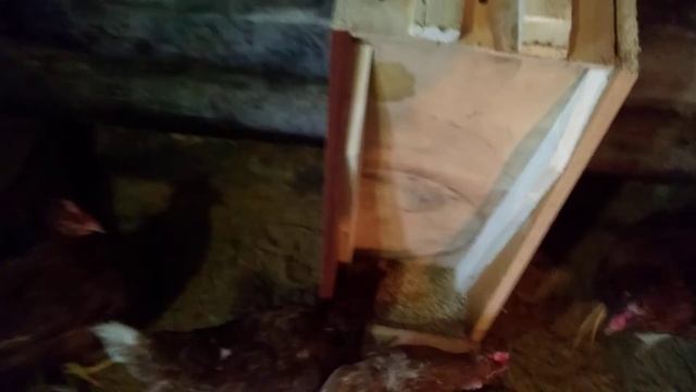 Бункерная кормушка для кур из старого навесного шкафчика.Hopper feeder for chickens.