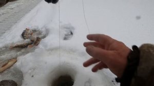 КИНУЛ-ВЫНУЛ, ОТПУСТИЛ И СНОВА ЛУНКУ ПРОБУРИЛ, ОКУНЬ НАШЁЛСЯ И СОРОГА С ЯЗЁМ ПОРАДОВАЛИ НА РЫБАЛКЕ!