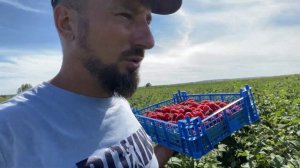 Практический семинар «Современные технологии выращивания ягод» 29 августа 2022 г.