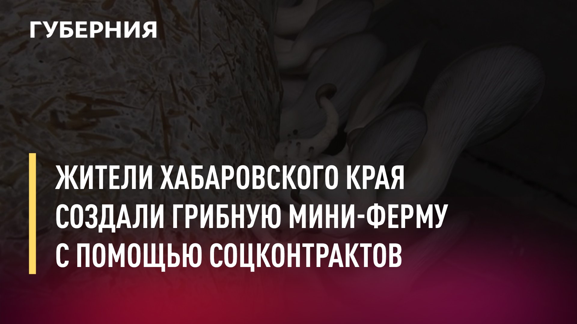 Социальный контракт в Хабаровском крае.