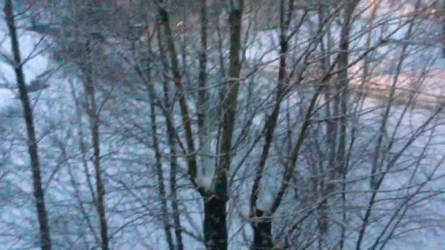 9.12 вот такая зимняя сказка и снег кружится летает, летает все дорожки, пути заметает смотреть онлайн