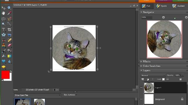 Photoshop Elements - Rectangular & Elliptical Tool, Magic Wand Tool смотреть онлайн