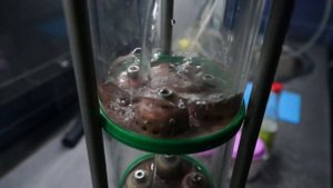 Очистка медной колпачковой колонны.  Часть 2.