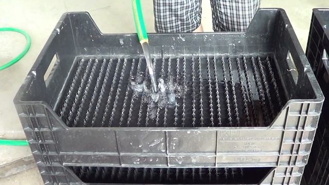 Гидропонная выгонка тюльпанов, профессиональный обзор ящиков. смотреть онлайн