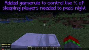 Minecraft 1.17 News – 20w51a: Axolotls and One-Player Sleeping!