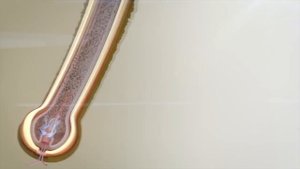 Как убрать седину без краски в домашних условиях