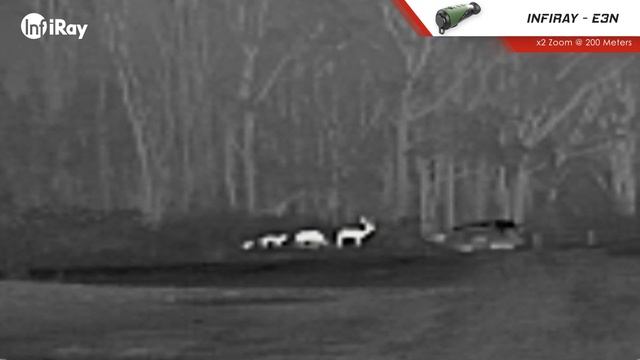 Thermal Imaging Monocular - InfiRay - E3N - Eye Series V2.0 - Review смотреть онлайн