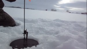 Рыбалка в Башкирии. Хороший клев с обеда.