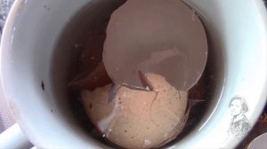 СКОРЛУПА ЯИЦ КАК УДОБРЕНИЕ.