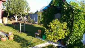 ДАЧА-САД 10 соток. Как сделано за 20 лет