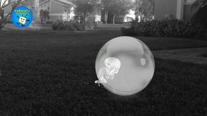 SpongeBob Moves In! - Color Me Happy - SpongeBob in real life