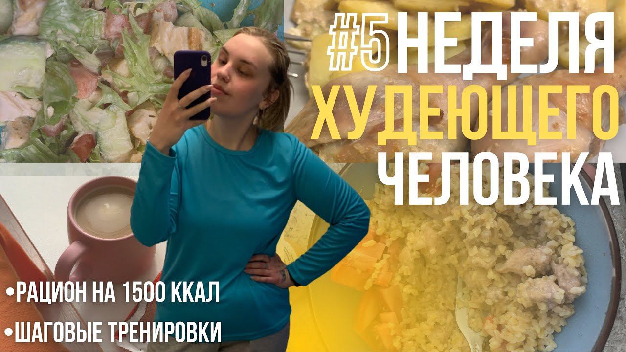 НЕДЕЛЯ ХУДЕЮЩЕГО ЧЕЛОВЕКА #5 / шагаю, пью вино, ем на 1500 ккал смотреть онлайн