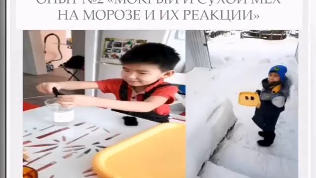 Презентация "Белый медведь" смотреть онлайн