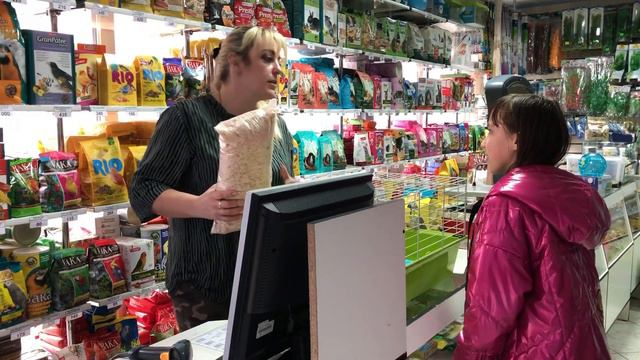 Поехали в ЗООМАГАЗИН | Мои новые ПИТОМЦЫ! смотреть онлайн