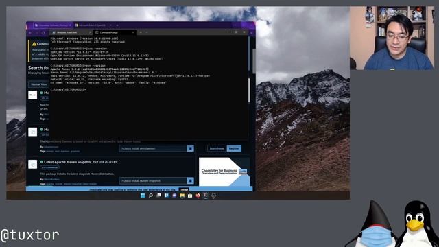 Instalación de Java 11 (Microsoft OpenJDK) y Visual Studio Code sobre Windows 11 смотреть онлайн