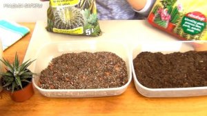 Грунт для суккулентов