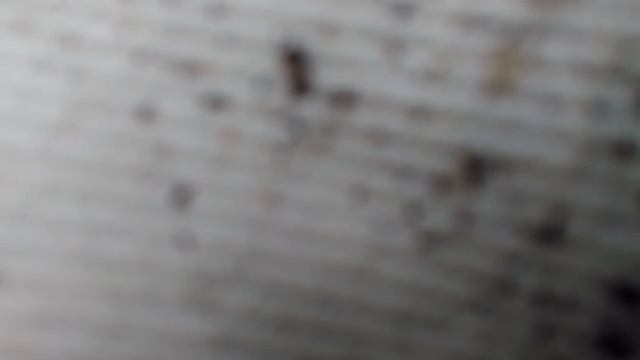 Дешёвый масляный фильтр на примере yamaha wr450 смотреть онлайн